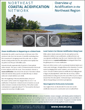 Overview of Coastal Acidification in the Northeast Region